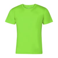 ORIGINAL ACTIVE men's sports T-shirt lt.green