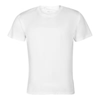 ORIGINAL ACTIVE men's sports T-shirt white