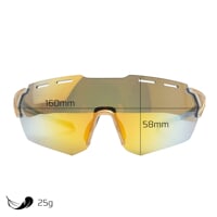 CROSS GLD-R GLD/SLV sports sunglasses gold/silver